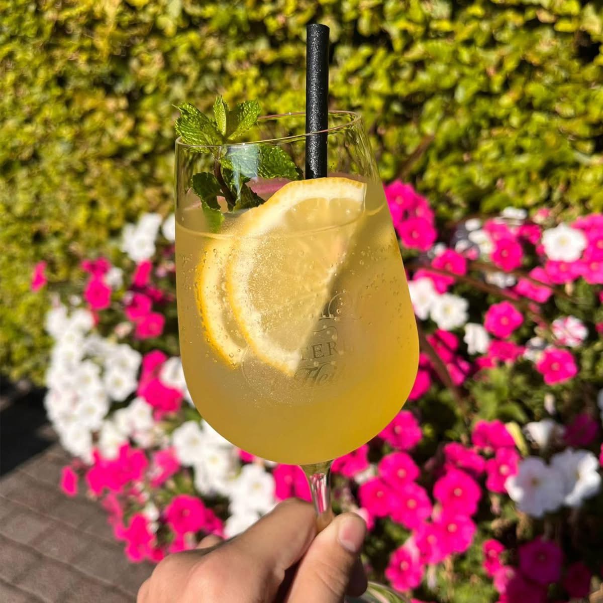 Verfrissende cocktail op het terras
